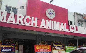 Grand Opening “March Animal Clinic”
